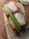 Salo and green onion on top of a slice of bread Royalty Free Stock Photo